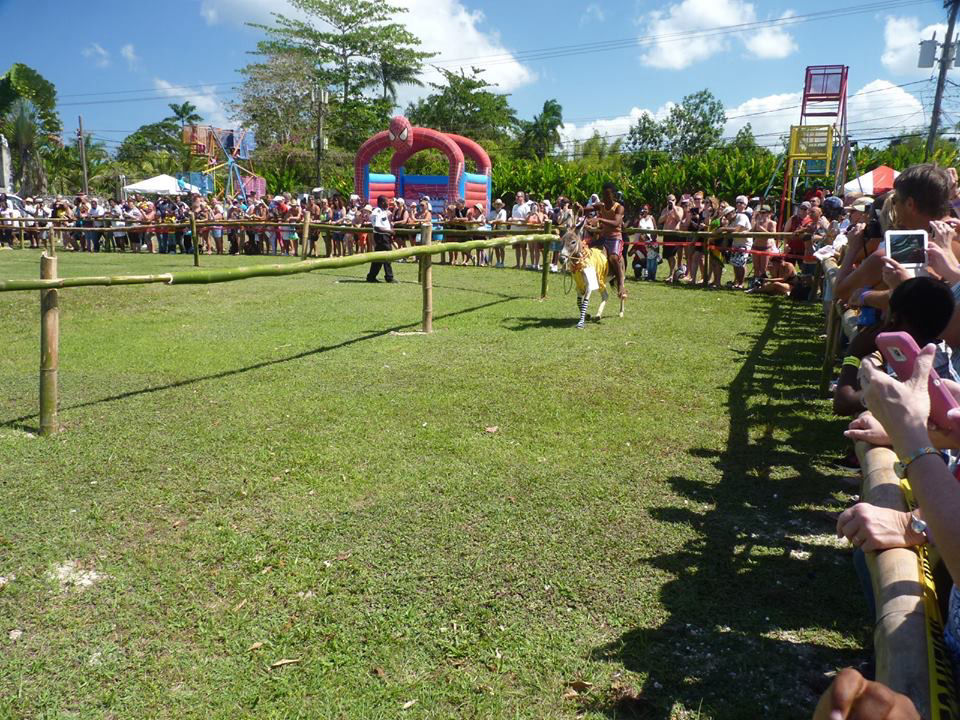Donkey Races - Rotary Club of Negril